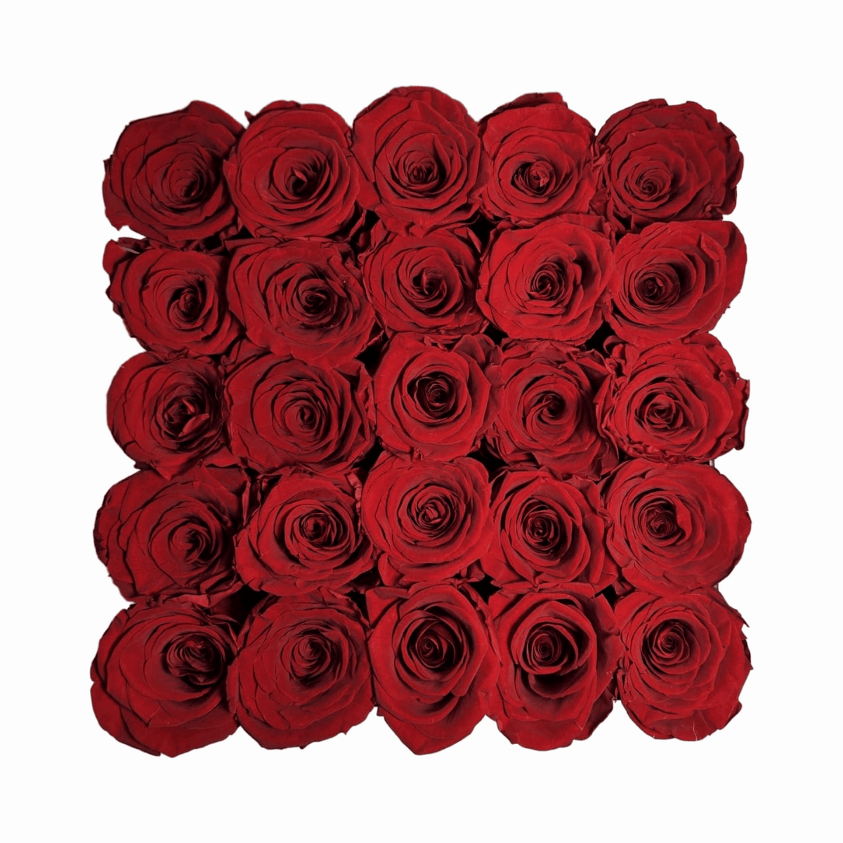 Prestige Promise - Preserved Flowers - Red Roses from top view - Valentine’s Gift
