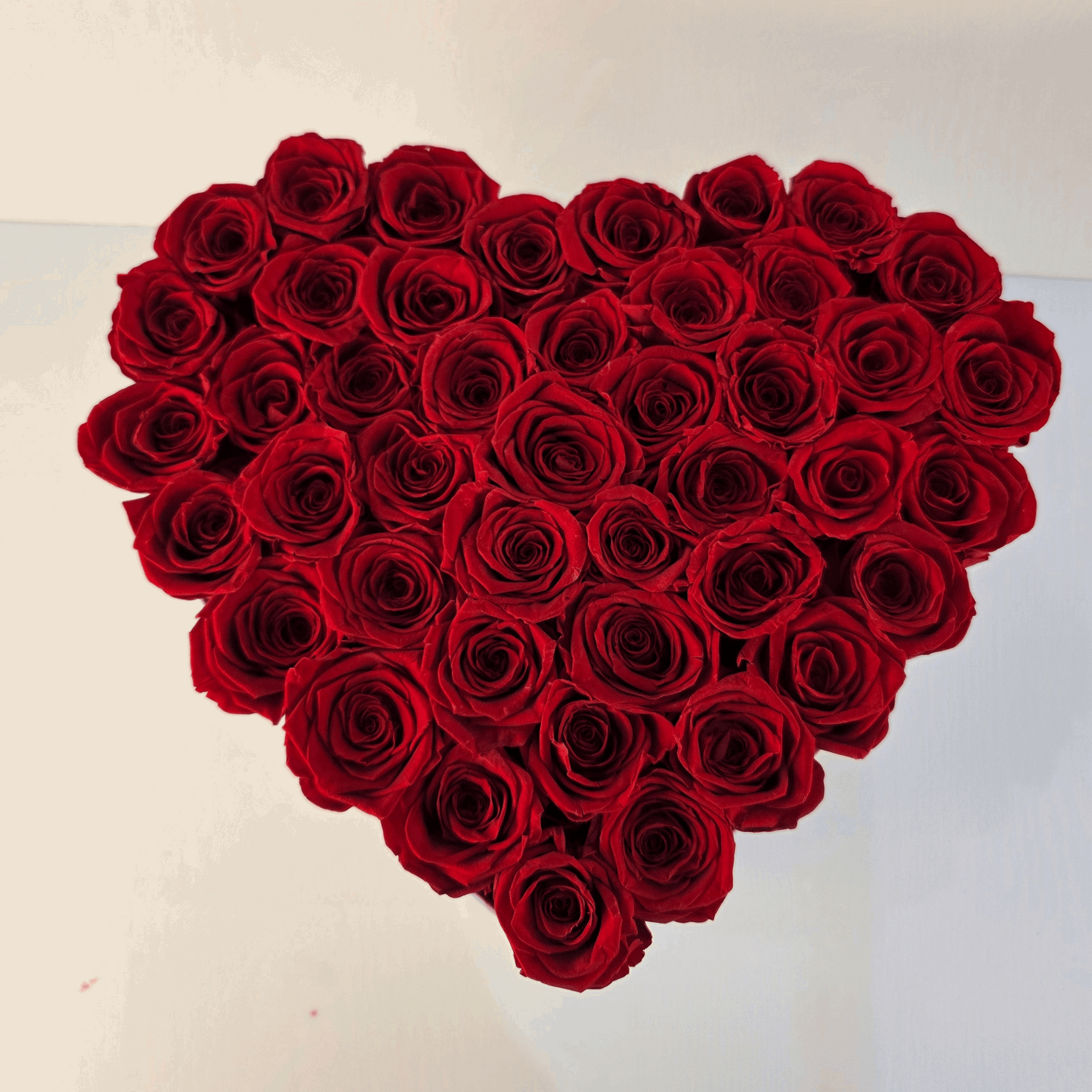 Heart-shaped arrangement of red roses on a white background