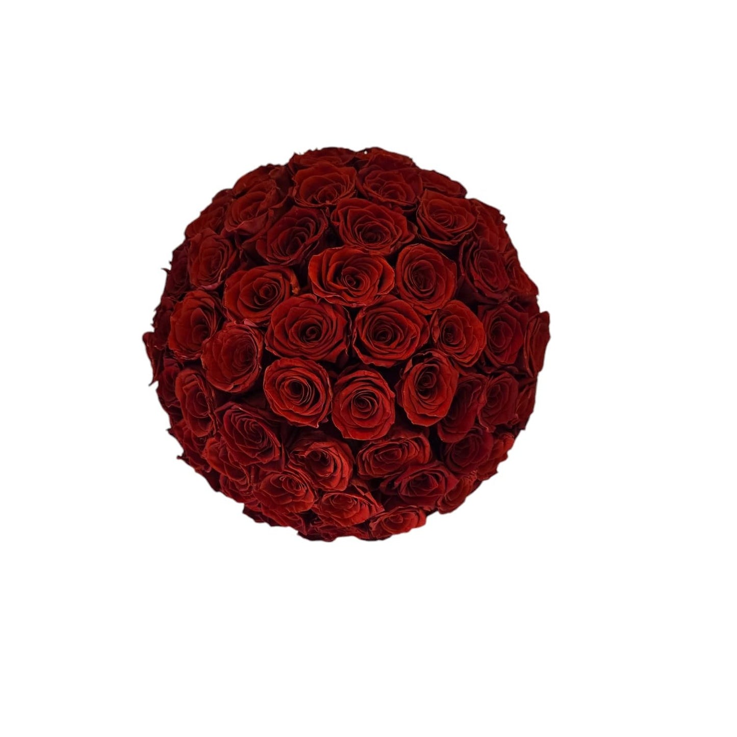 Supreme Splendor - Preserved Roses - Red Roses from Top View