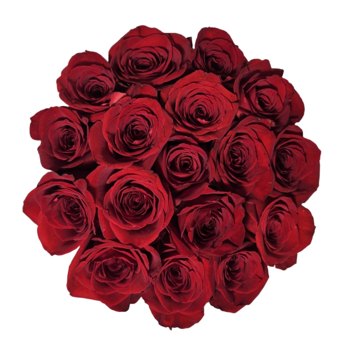 Radiant Bloom- Medium Round - Red Rose from Top View