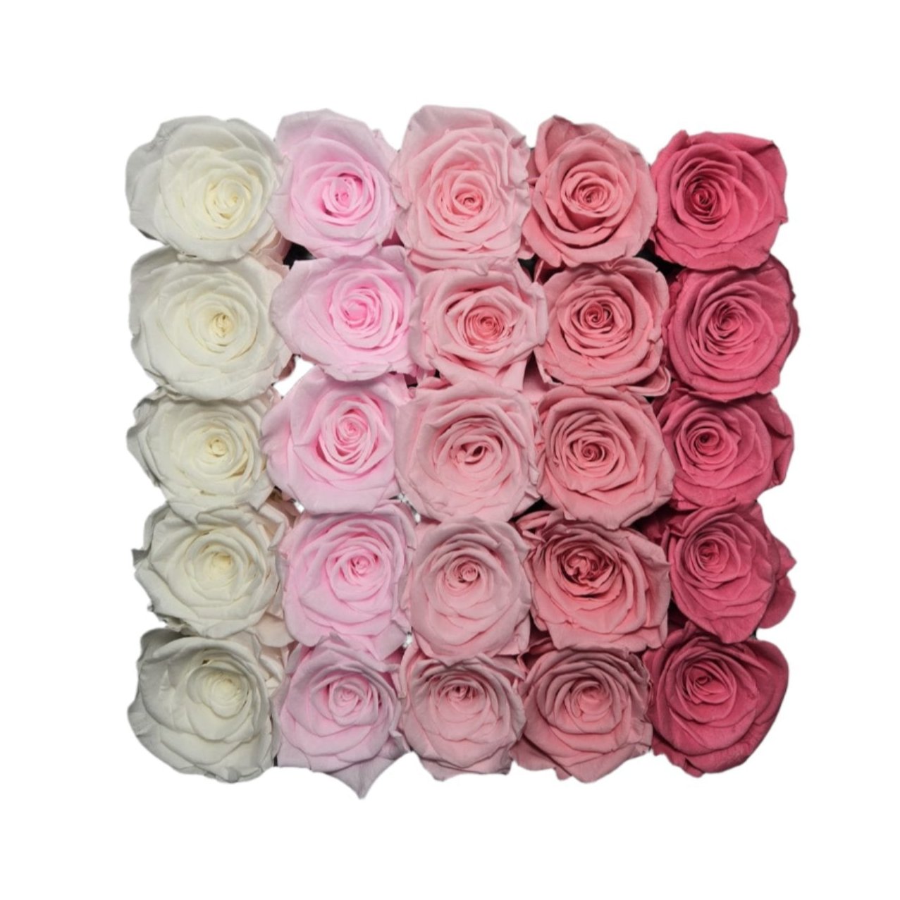 Ombre Charm (Medium Square) - Preserved Roses - Flowers Last Three Years