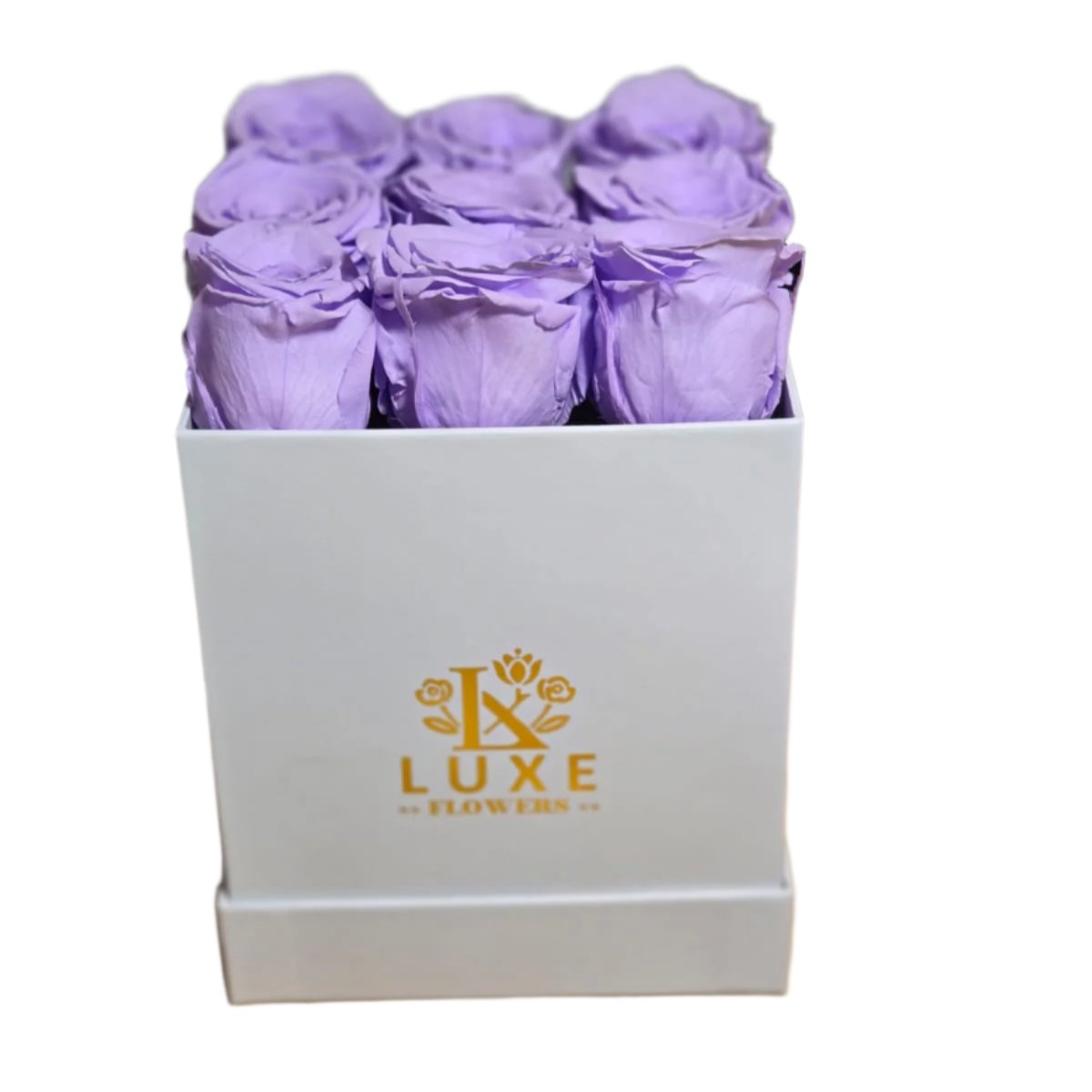 Timeless Treasure - Preserved Roses - Flower Box - Purple Rose in White Square Box