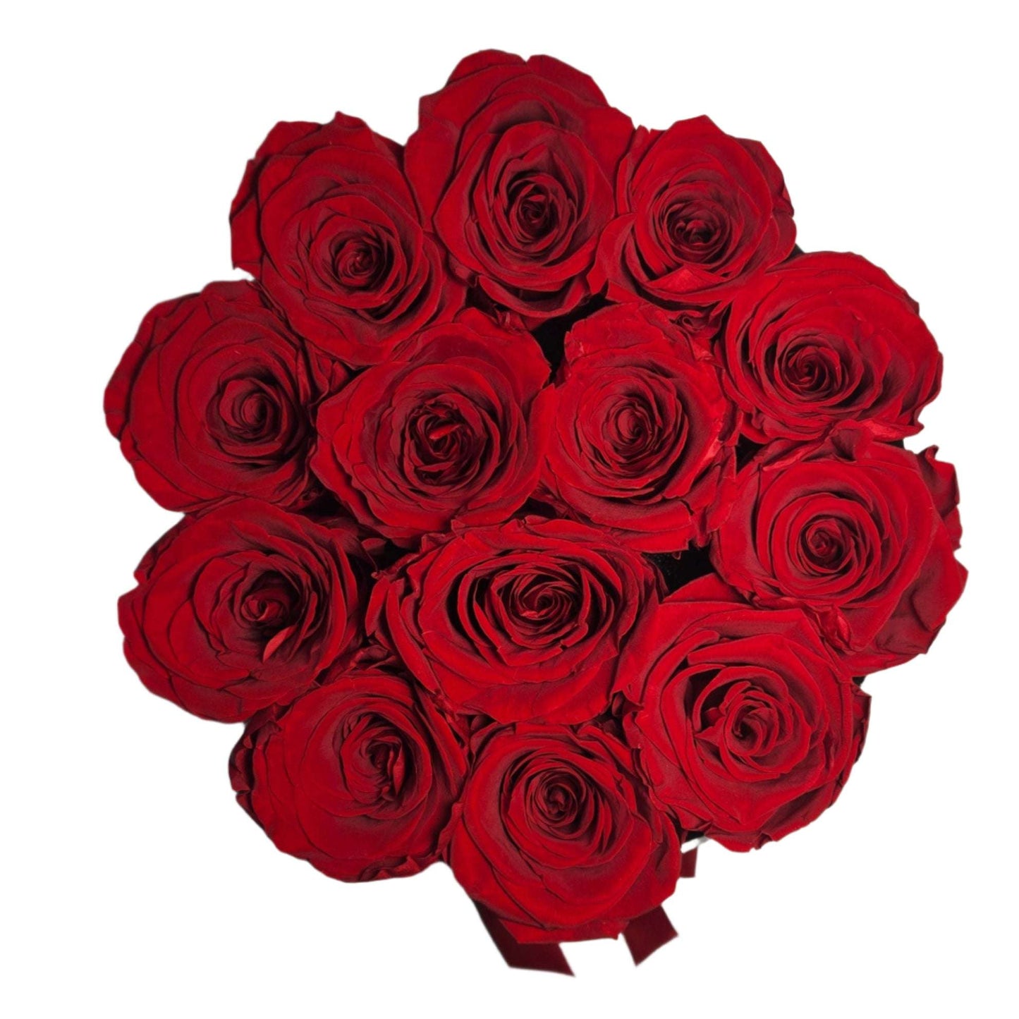 Eternal Elite - Preserved Roses - Red Rose Top View