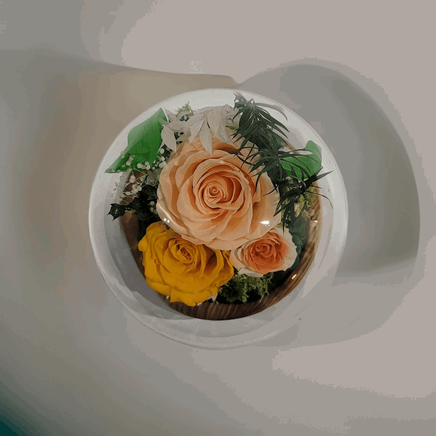 Forever Rose Dome - Champagne preserved Rose and Flower in Glass Dome with LED Light Base