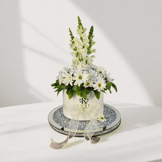 Snow Bloom - Medium Round - Fresh White - Flowers Last Ten Days