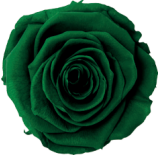 Green Rose