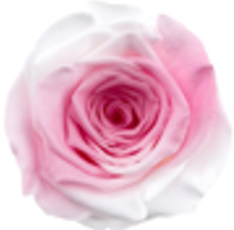 Multi Pinky (Pink & White)