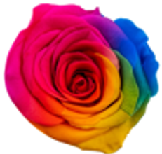 Rainbow Rose