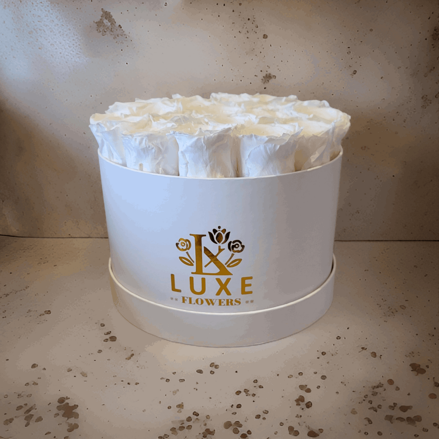Imperial Infinity - Preserved Roses - White Roses in White Round Box 