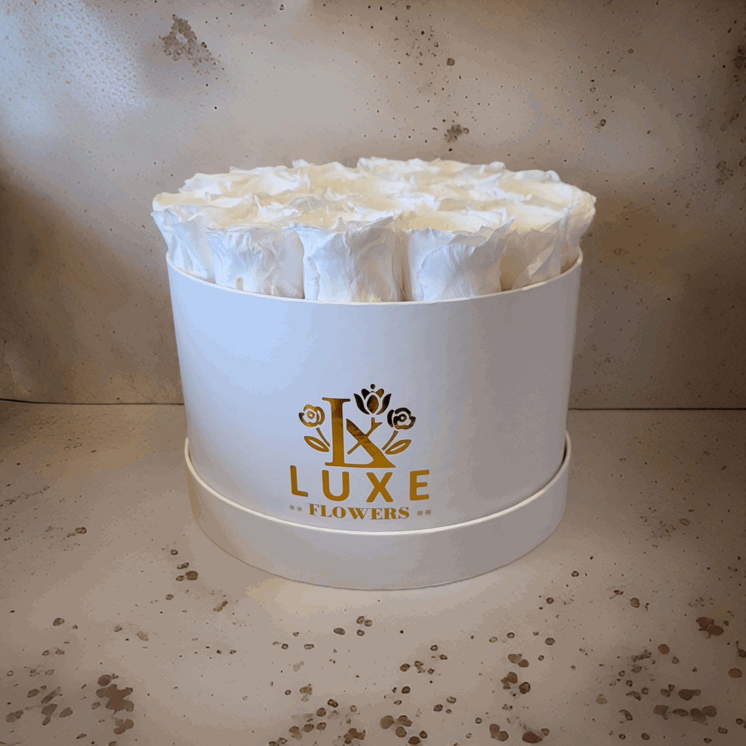 Imperial Infinity - Preserved Roses - White Roses in White Round Box 