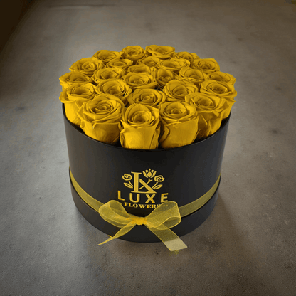 Imperial Infinity - Preserved Roses - Yellow Roses in Black Round Box 