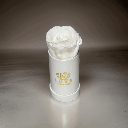 Luxe Legacy - White Preserved Rose in XSmall White Round Box - Flowers Last Three Years - Luxe Flowers Canada