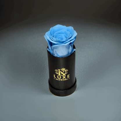 Luxe Legacy - Blue Preserved Rose in XSmall Black Round Box - Flowers Last Three Years - Luxe Flowers Canada