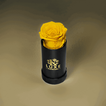 Luxe Legacy - Yellow Preserved Rose in XSmall Black Round Box - Flowers Last Three Years - Luxe Flowers Canada