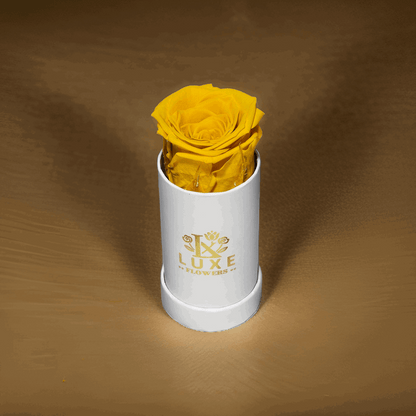 Luxe Legacy - Yellow Preserved Rose in XSmall White Round Box - Flowers Last Three Years - Luxe Flowers Canada