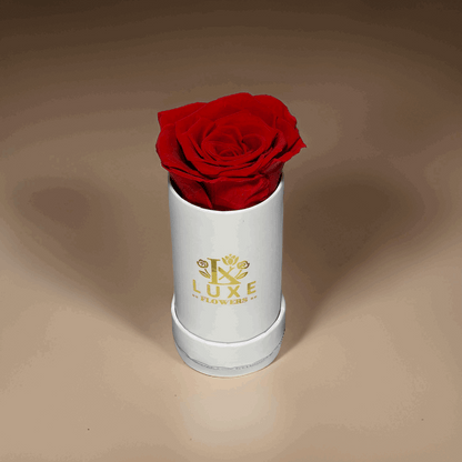 Luxe Legacy - Red Preserved Rose in XSmall White Round Box - Flowers Last Three Years - Luxe Flowers Canada