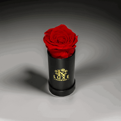 Luxe Legacy - Red Preserved Rose in XSmall Black Round Box - Flowers Last Three Years - Luxe Flowers Canada