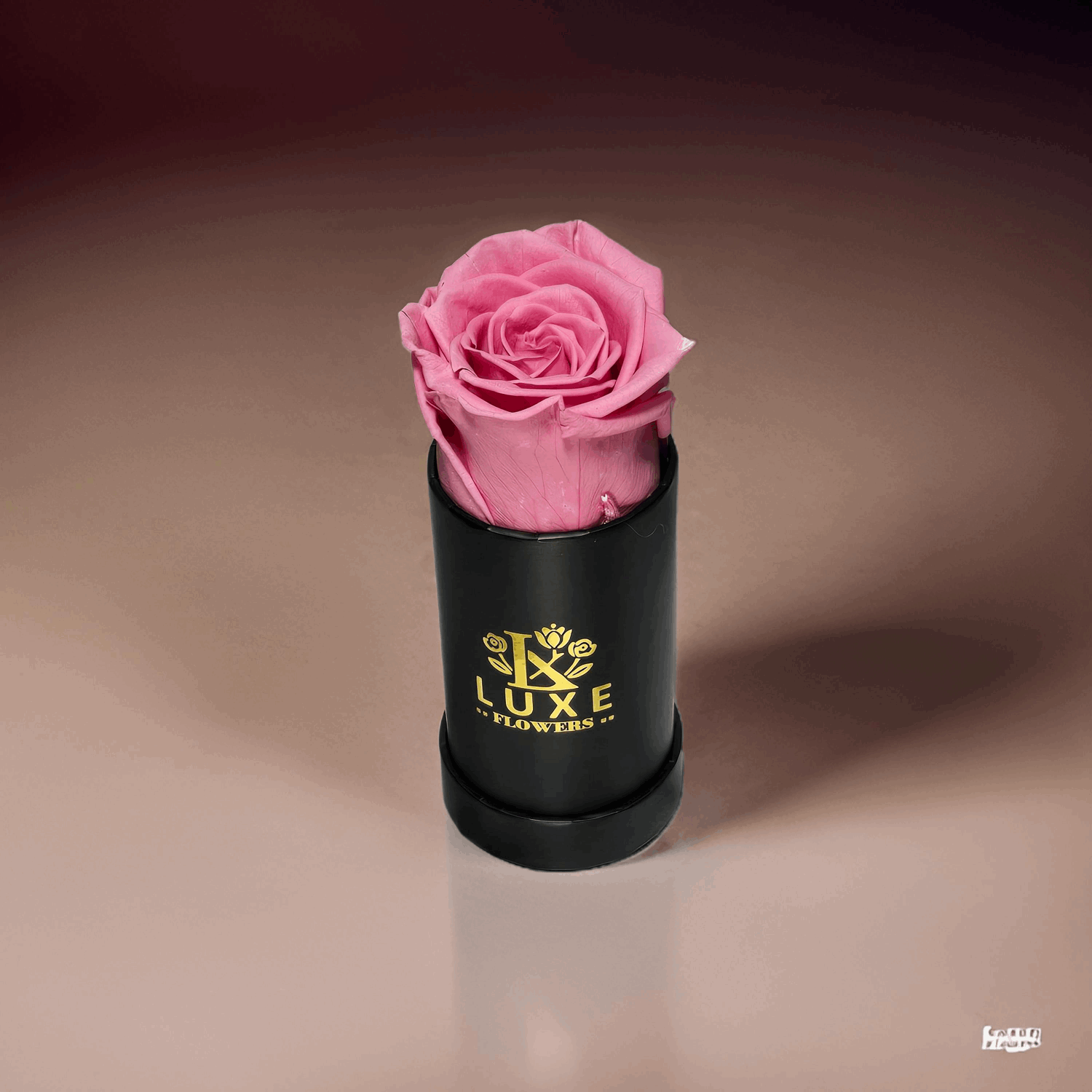 Luxe Legacy - Pink Preserved Rose in XSmall Black Round Box - Flowers Last Three Years - Luxe Flowers Canada