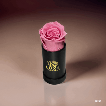 Luxe Legacy - Pink Preserved Rose in XSmall Black Round Box - Flowers Last Three Years - Luxe Flowers Canada