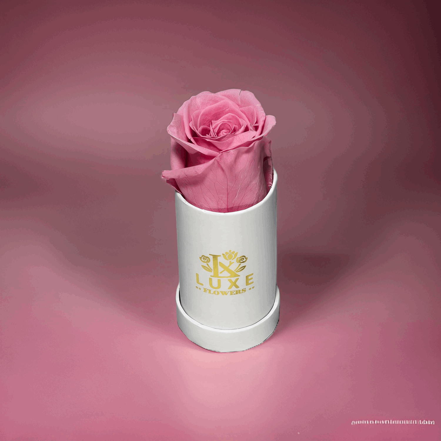 Luxe Legacy - Pink Preserved Rose in XSmall White Round Box - Flowers Last Three Years - Luxe Flowers Canada