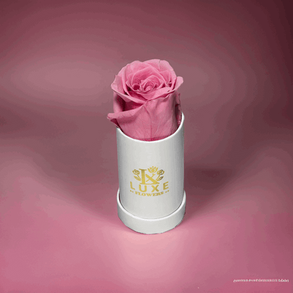 Luxe Legacy - Pink Preserved Rose in XSmall White Round Box - Flowers Last Three Years - Luxe Flowers Canada