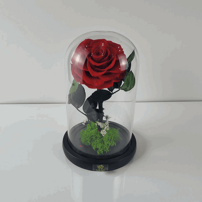 Preserved Forever Red Rose in Glass Dome for Her - Beauty and The Beast Eternal Rose - Flowers Birthday Gifts for Women, Gifts for Girlfriend & Gifts for Mom