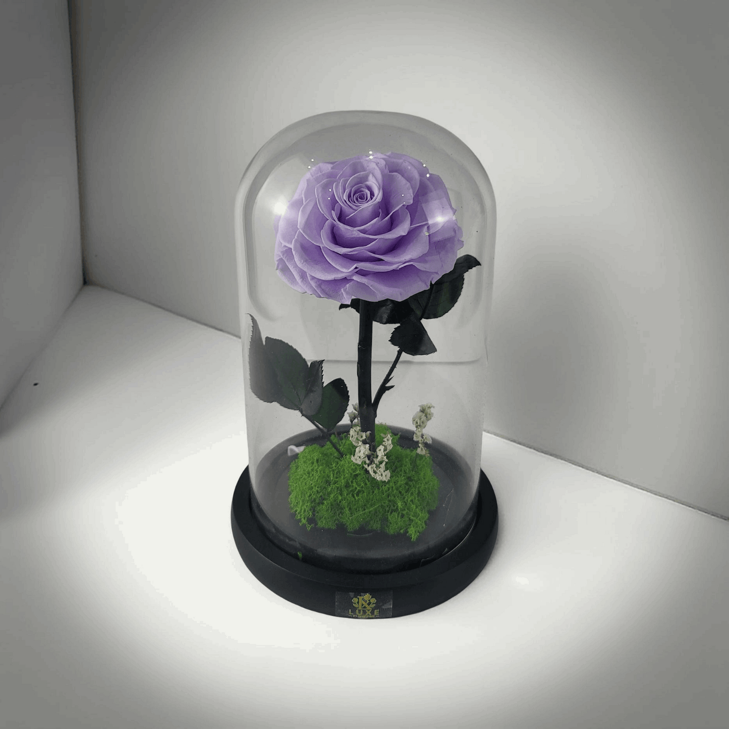 Crystal Bloom | Preserved Forever Purple Rose in Glass Dome