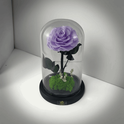 Crystal Bloom | Preserved Forever Purple Rose in Glass Dome