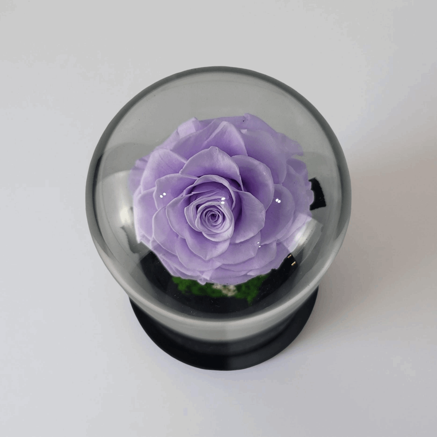 Crystal Bloom | Preserved Forever Purple Rose in Glass Dome