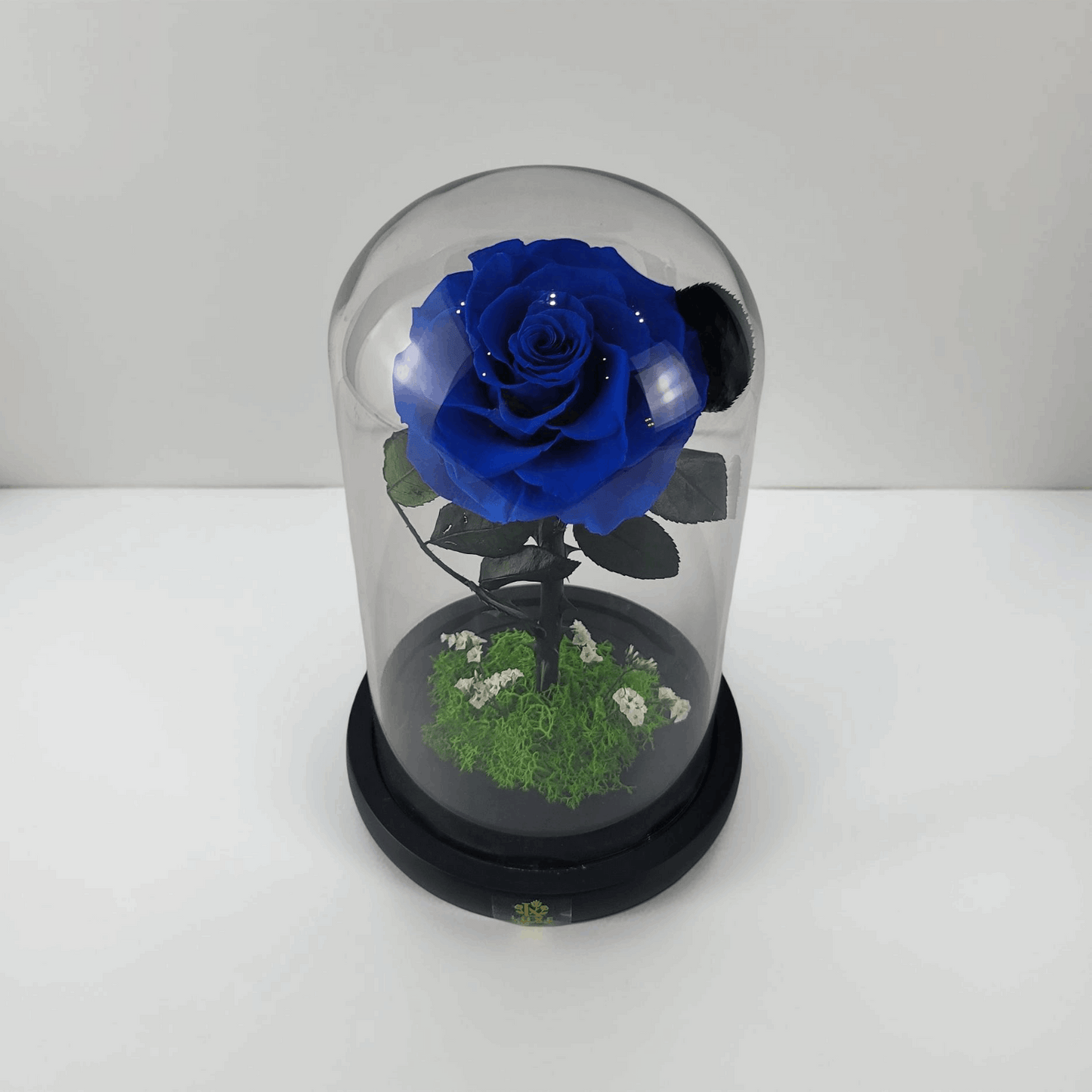 Crystal Bloom | Preserved Forever Sapphire Rose in Glass Dome