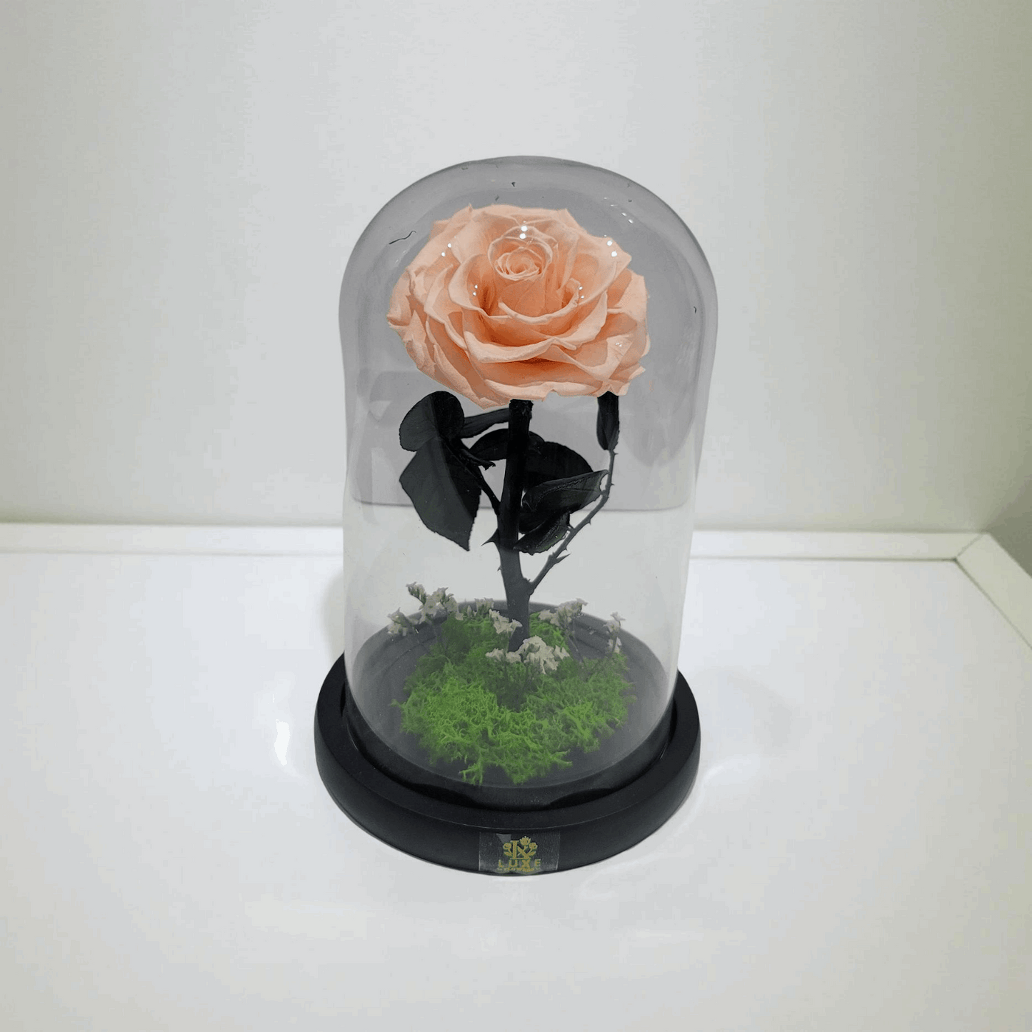 Crystal Bloom | Preserved Forever Champagne Rose in Glass Dome