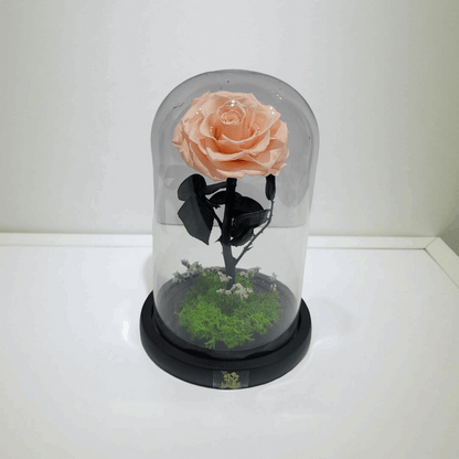 Crystal Bloom | Preserved Forever Champagne Rose in Glass Dome