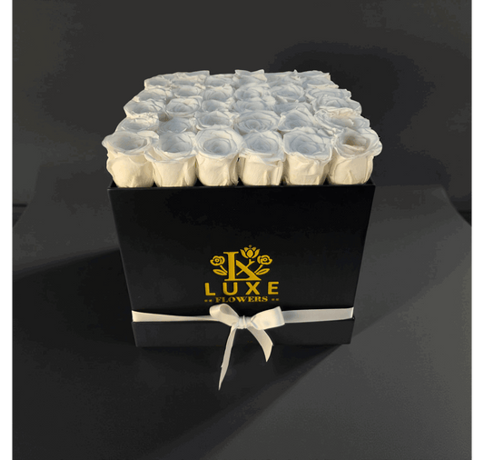 Regal Elegance (Large Square) - Preserved Roses - Flowers Last Three Years