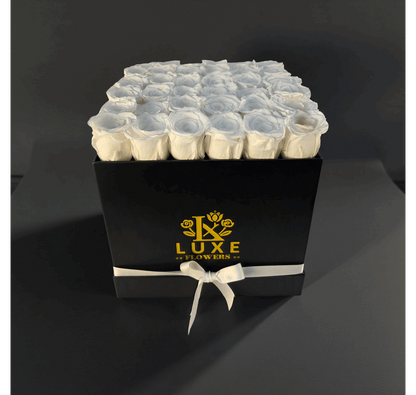 Regal Elegance (Large Square) - Preserved Roses - Flowers Last Three Years
