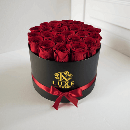 Imperial Infinity (Medium Round) - Preserved Roses - Flowers Last Three Years