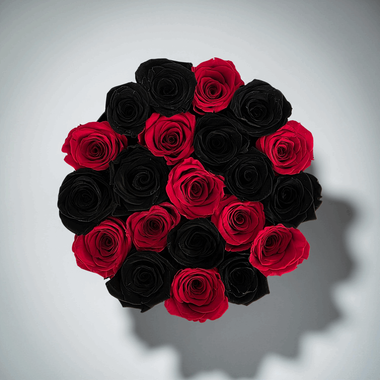 Noble Nostalgia (Medium Round) - Preserved Roses - Flowers Last Three Years