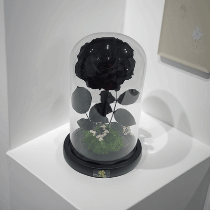 Crystal Bloom | Preserved Forever Black Rose in Glass Dome