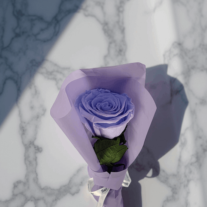 The One Eternal- Preserved Roses-  Purple Rose Stem