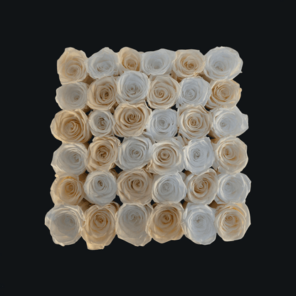 Pearl Passion (Large Square) - Preserved Roses - Flowers Last Three Years