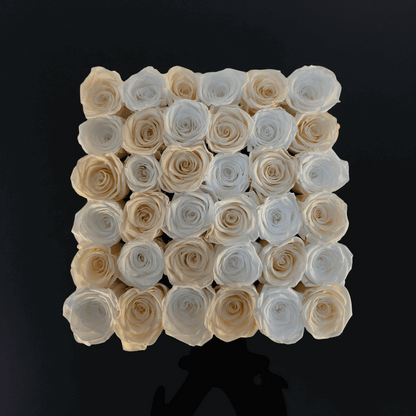 Pearl Passion (Large Square) - Preserved Roses - Flowers Last Three Years