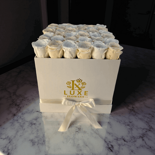 Pearl Passion (Large Square) - Preserved Roses - Flowers Last Three Years