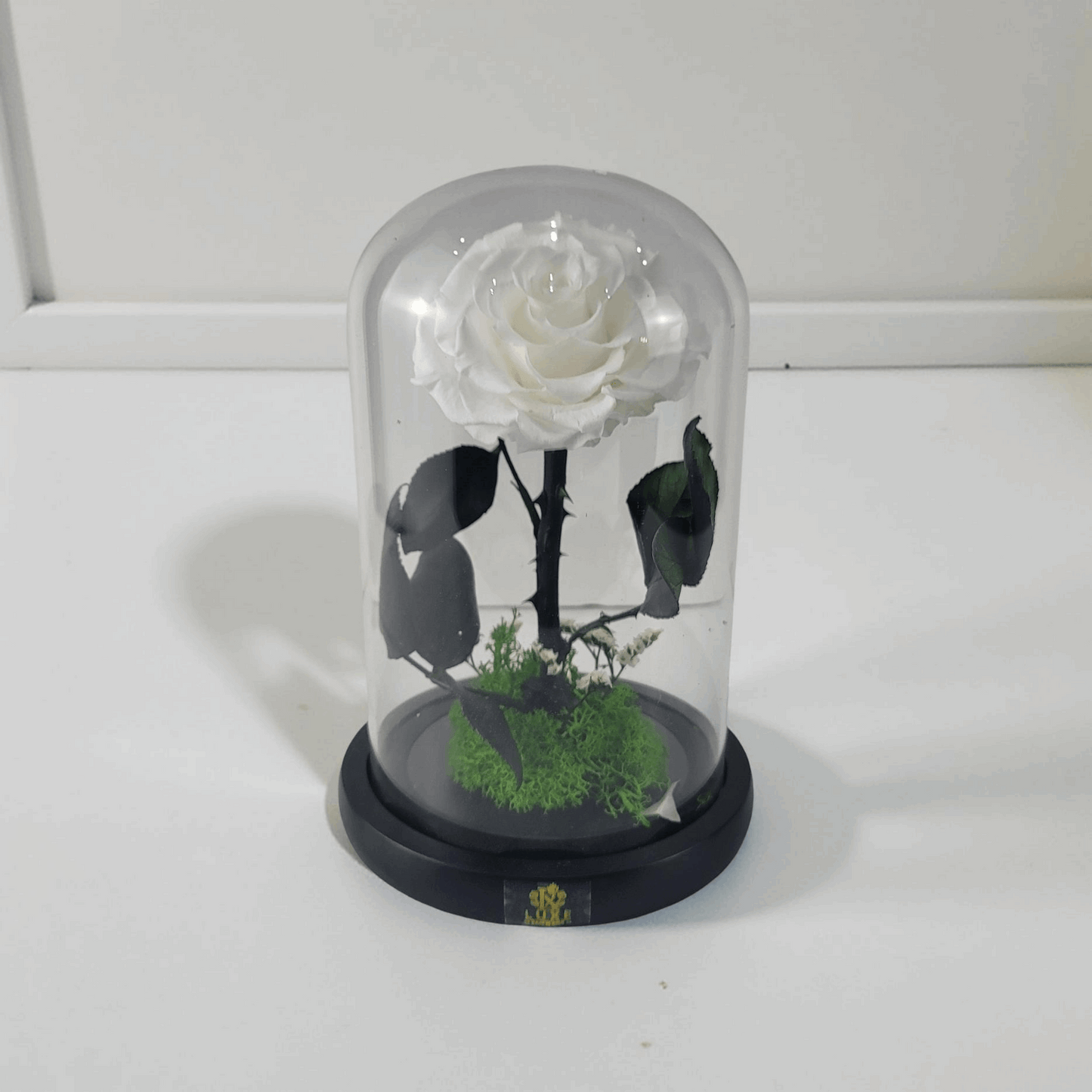 Crystal Bloom | Preserved Forever White Rose in Glass Dome
