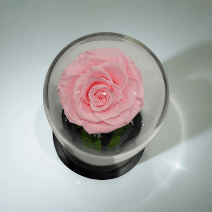 Crystal Bloom | Preserved Forever Pink Rose in Glass Dome