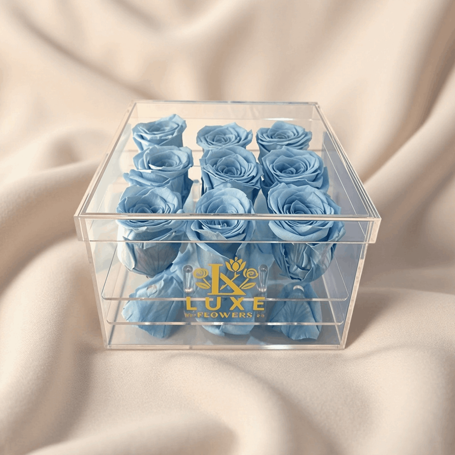 Luxe Frame (Medium Square Acrylic) - Preserved Roses - Flowers Last Three Years