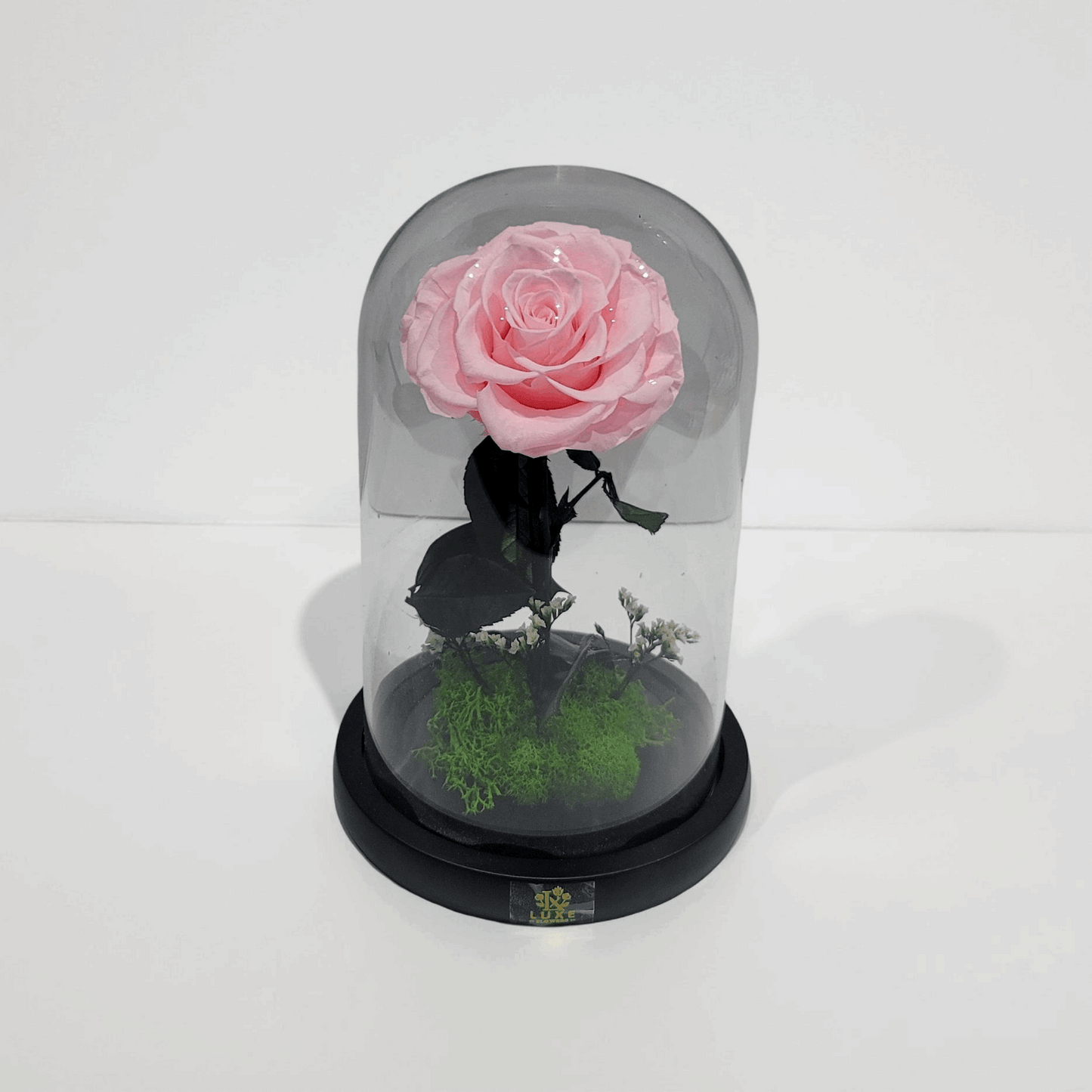 Crystal Bloom | Preserved Forever Pink Rose in Glass Dome