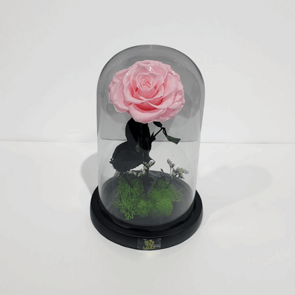 Crystal Bloom | Preserved Forever Pink Rose in Glass Dome