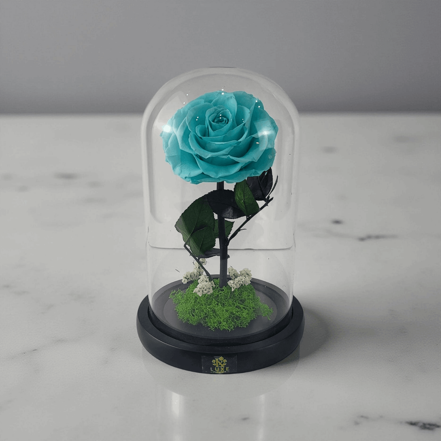 Crystal Bloom | Preserved Forever Tiffany Blue Rose in Glass Dome