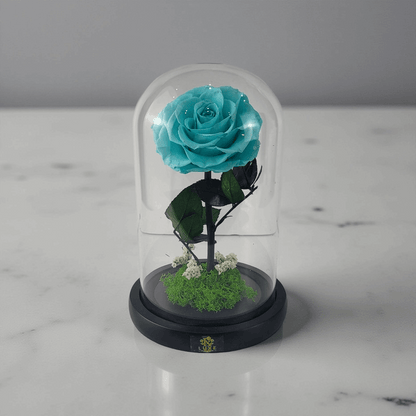 Crystal Bloom | Preserved Forever Tiffany Blue Rose in Glass Dome