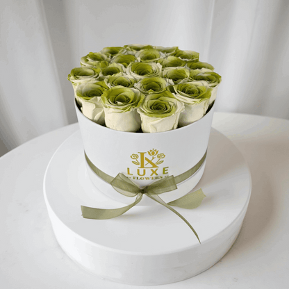 Imperial Infinity (Medium Round) - Preserved Roses - Flowers Last Three Years
