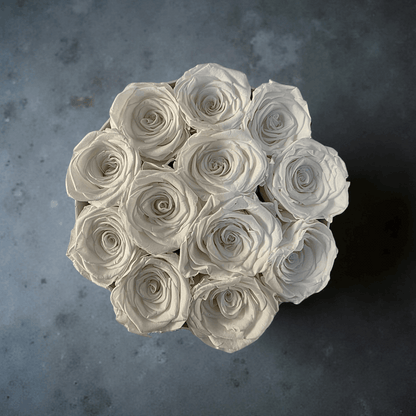 Eternal Elite (Small Round) - Preserved Roses - Flowers Last Three Years